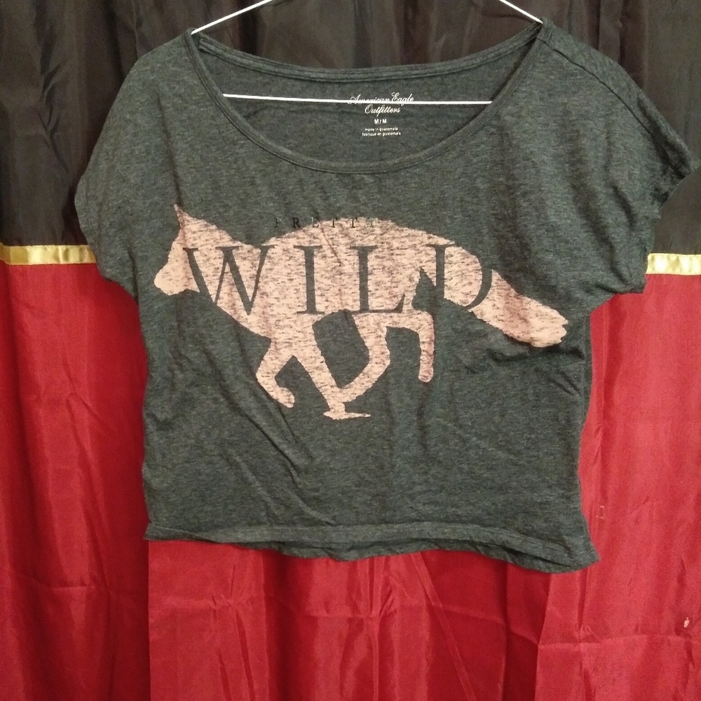 American Eagle Crop top